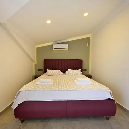 Vila Luxury-holiday For 6 People With Turkish Bath & Sauna In Oeluedeniz Fethiye